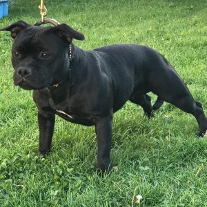 f4f733a3-6a49-413a-a335-cc28e613993b